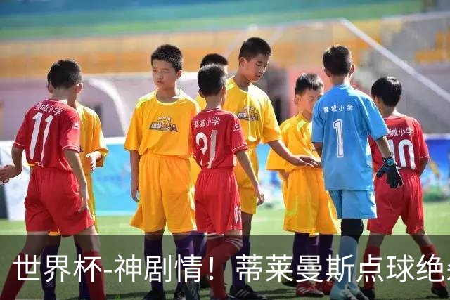 世界杯-神剧情！蒂莱曼斯点球绝杀 比利时加时3-2塞内加尔
